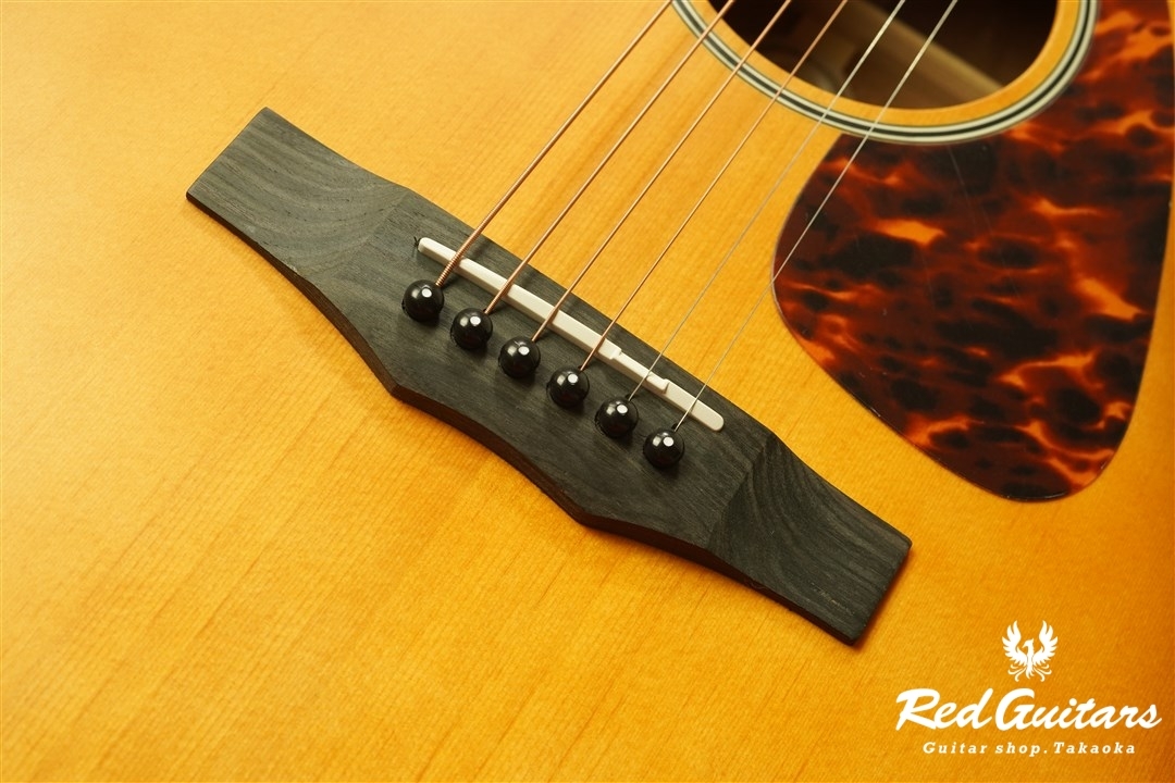 Morris F-021 - VS | Red Guitars Online Store